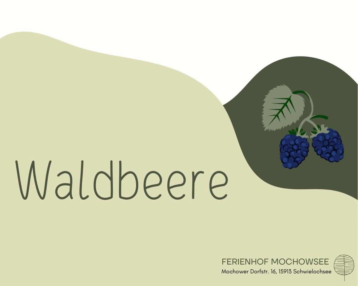 Ferienhof Mochowsee Schwielochsee Habitación foto
